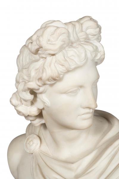 Italian Carrara Marble Bust Of The Apollo Belvedere