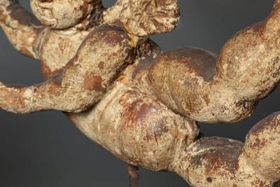 Italian Cherubs