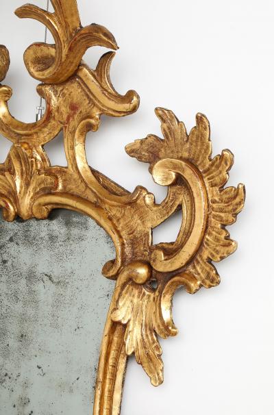 Italian Eighteenth Century Rococo Carved and Gilded Wood Mirror