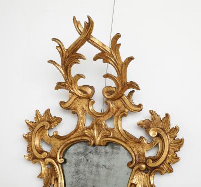 Italian Eighteenth Century Rococo Carved and Gilded Wood Mirror