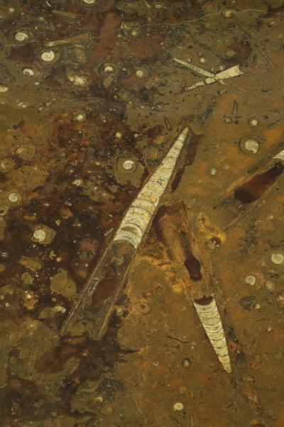 Italian Fossilized Marble and Mirrored Cocktail Table circa 1950