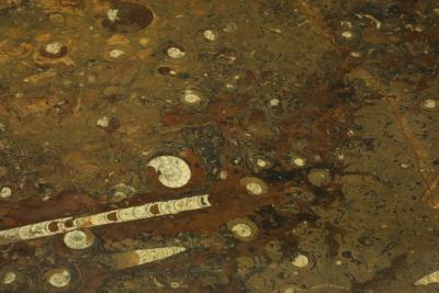 Italian Fossilized Marble and Mirrored Cocktail Table circa 1950