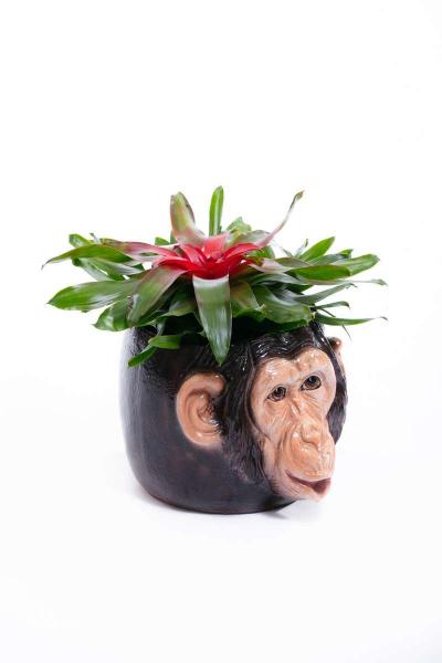 Italian Mid Century Hand Painted Chimpanzee Planter