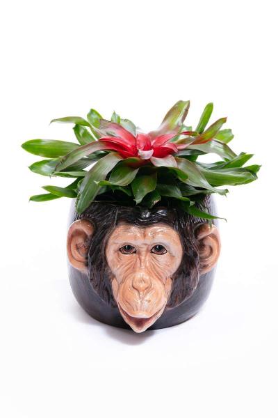 Italian Mid Century Hand Painted Chimpanzee Planter