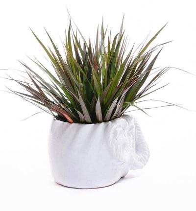 Italian Midcentury Ceramic White Elephant Planter