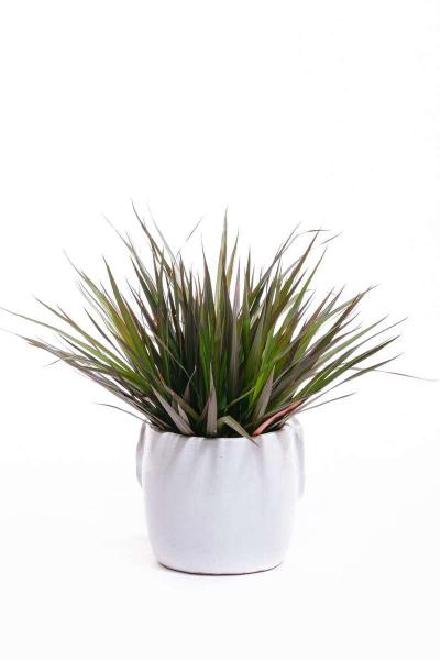 Italian Midcentury Ceramic White Elephant Planter