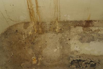 Italian Neoclassic Style Metal Bathtub