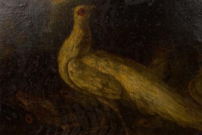 Italian Oil Painting of a White Peacock and Other Birds in a Giltwood Frame