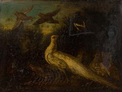 Italian Oil Painting of a White Peacock and Other Birds in a Giltwood Frame