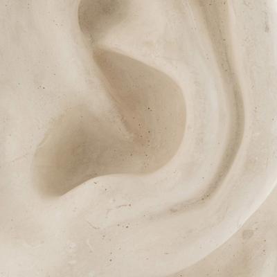 Italian Renaissance Michelangelos David Plaster Ear Detail