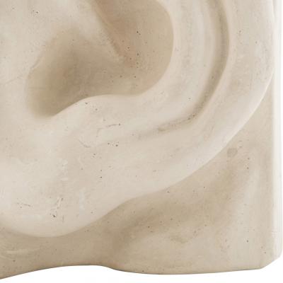Italian Renaissance Michelangelos David Plaster Ear Detail