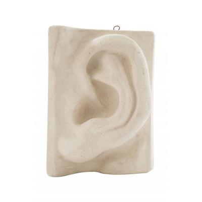 Italian Renaissance Michelangelos David Plaster Ear Detail