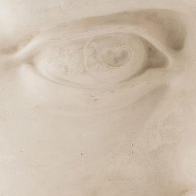 Italian Renaissance Michelangelos David Plaster Eye Detail