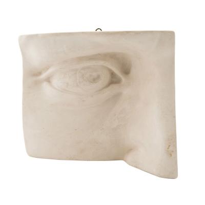 Italian Renaissance Michelangelos David Plaster Eye Detail