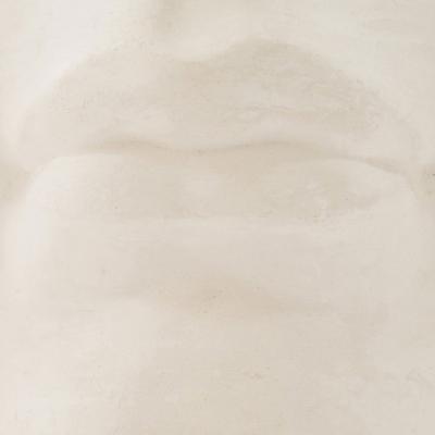 Italian Renaissance Michelangelos David Plaster Mouth Detail