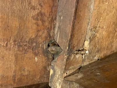 Italian Renaissance Walnut Box