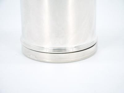 Italian Silver Plated Insulated Interior Hot Cold Beverage Thermos