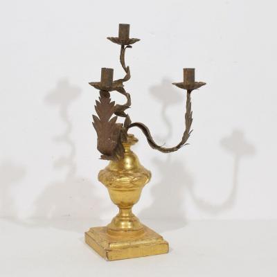 Italian early 19th Century Neoclassical Giltwood Candleholder