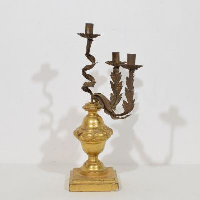 Italian early 19th Century Neoclassical Giltwood Candleholder