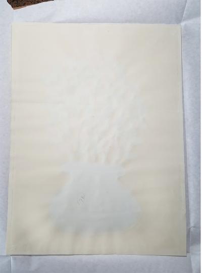 Ivan Chermayeff Still Life XXXIII