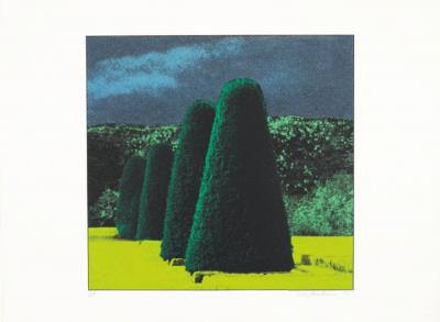 Ivor Abrahams The Garden Suite IV Four Bushes 1970
