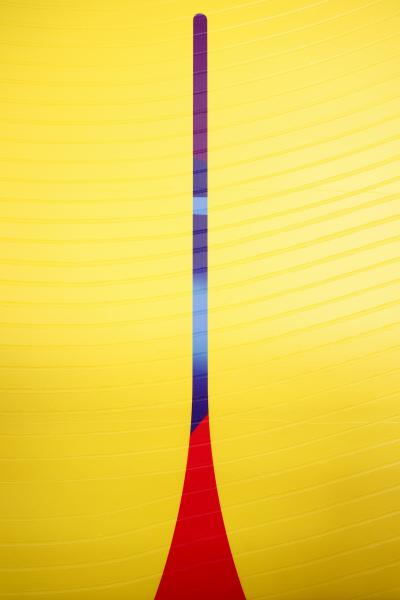 J r me Tham Vo My Abricot Sang de boeuf Bouton d or Conquistador