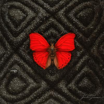 JOSH TIESSEN Auguries of Innocence III
