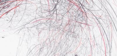 Jaanika Peerna Screech of ice series 41