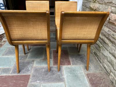 Jack Van der Molen Set 5 Jack Van Der Molen Cane Back Dining Chair Mid Century Modern