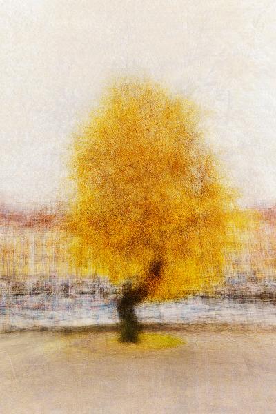Jacob Gils COPENHAGEN 25