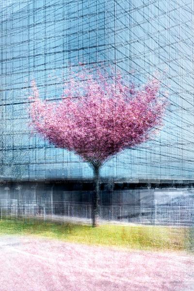 Jacob Gils COPENHAGEN 26