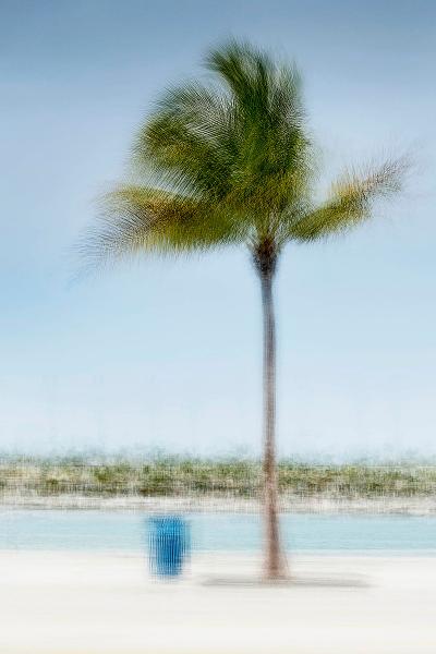 Jacob Gils Key West 2