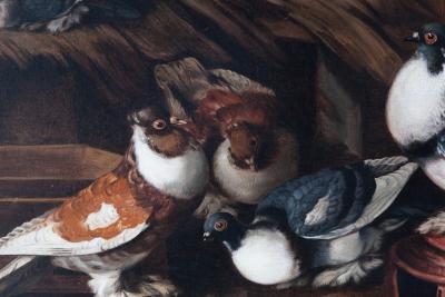 Jacobus Victors Pigeons on a Roof Jacobus Victors Amsterdam 1640 1705 