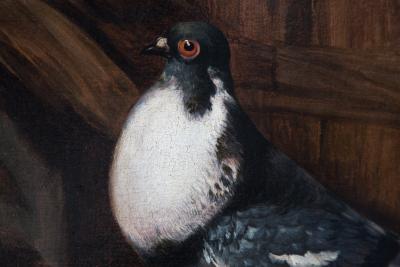 Jacobus Victors Pigeons on a Roof Jacobus Victors Amsterdam 1640 1705 