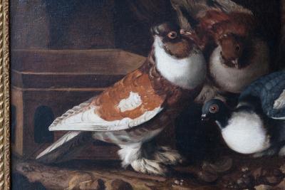 Jacobus Victors Pigeons on a Roof Jacobus Victors Amsterdam 1640 1705 