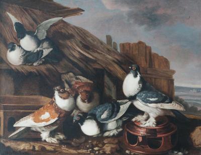 Jacobus Victors Pigeons on a Roof Jacobus Victors Amsterdam 1640 1705 