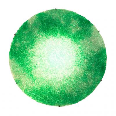Jacopo Foggini Contemporary Green Polycarbonate Circular Italian Jacopo Foggini Wall Lamp