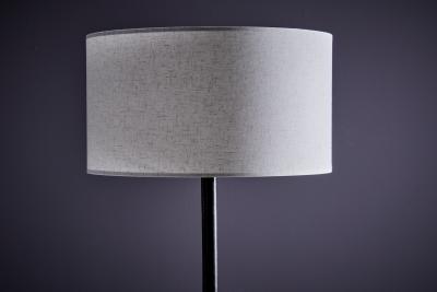 Jacques Adnet Jacques Adnet Leather and Metal Floor Lamp France 1950s