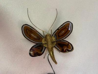 Jacques Duval Brasseur 1970 Butterfly Wall Lamp in Bronze Duval Brasseur Or Isabelle Faure 28 X H 35