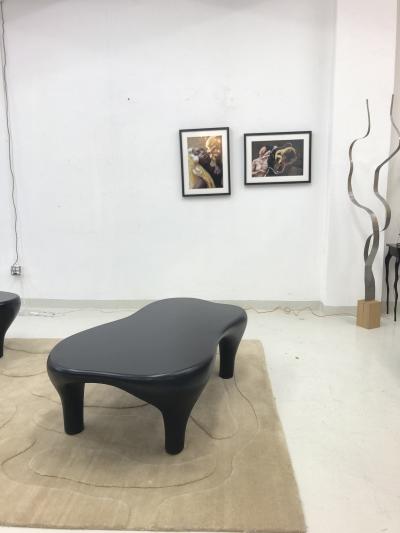 Jacques Jarrige Toro Coffee Table with Matte finish