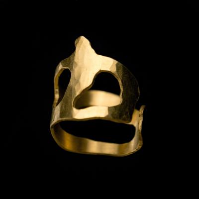 Jacques Jarrige Trio RIng 2015