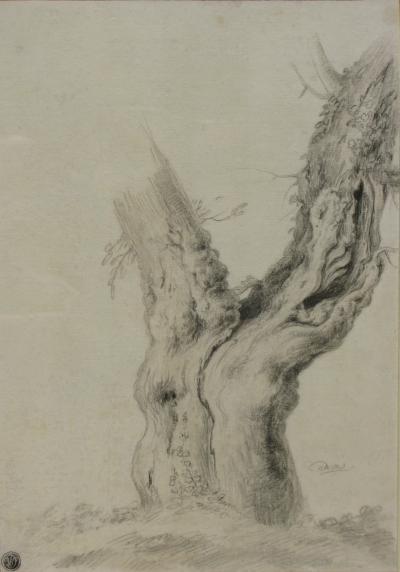 Jacques de Gheyn II A Lightening Struck Tree