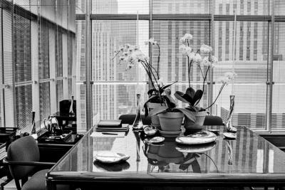 Jade Albert Halstons Office in the Olympic Tower New York 1981 