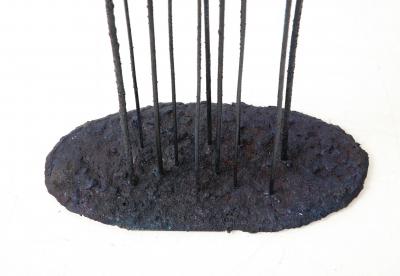 James Anthony Bearden Meteor Storm 2019