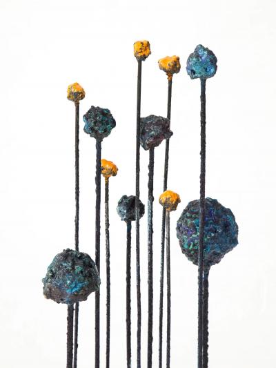 James Anthony Bearden Meteor Storm 2019