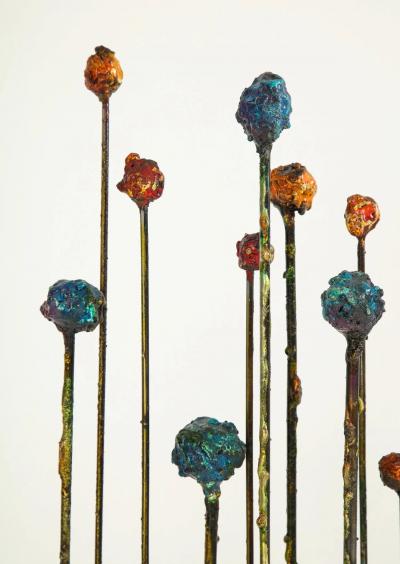 James Anthony Bearden Meteor Storm Screen 2019