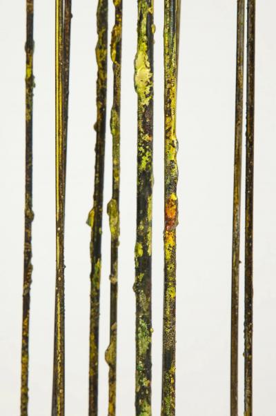 James Anthony Bearden Meteor Storm Screen 2019