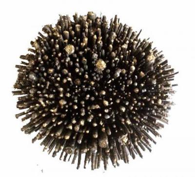 James Anthony Bearden The Urchin Side Table by James Bearden