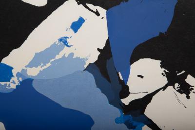 James Brooks South Fork