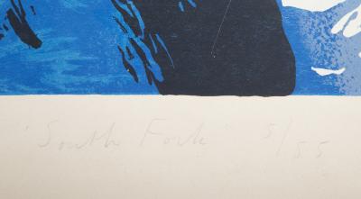 James Brooks South Fork